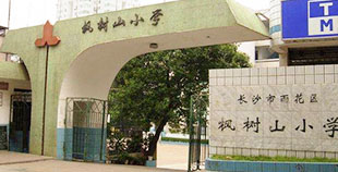 枫树山小学